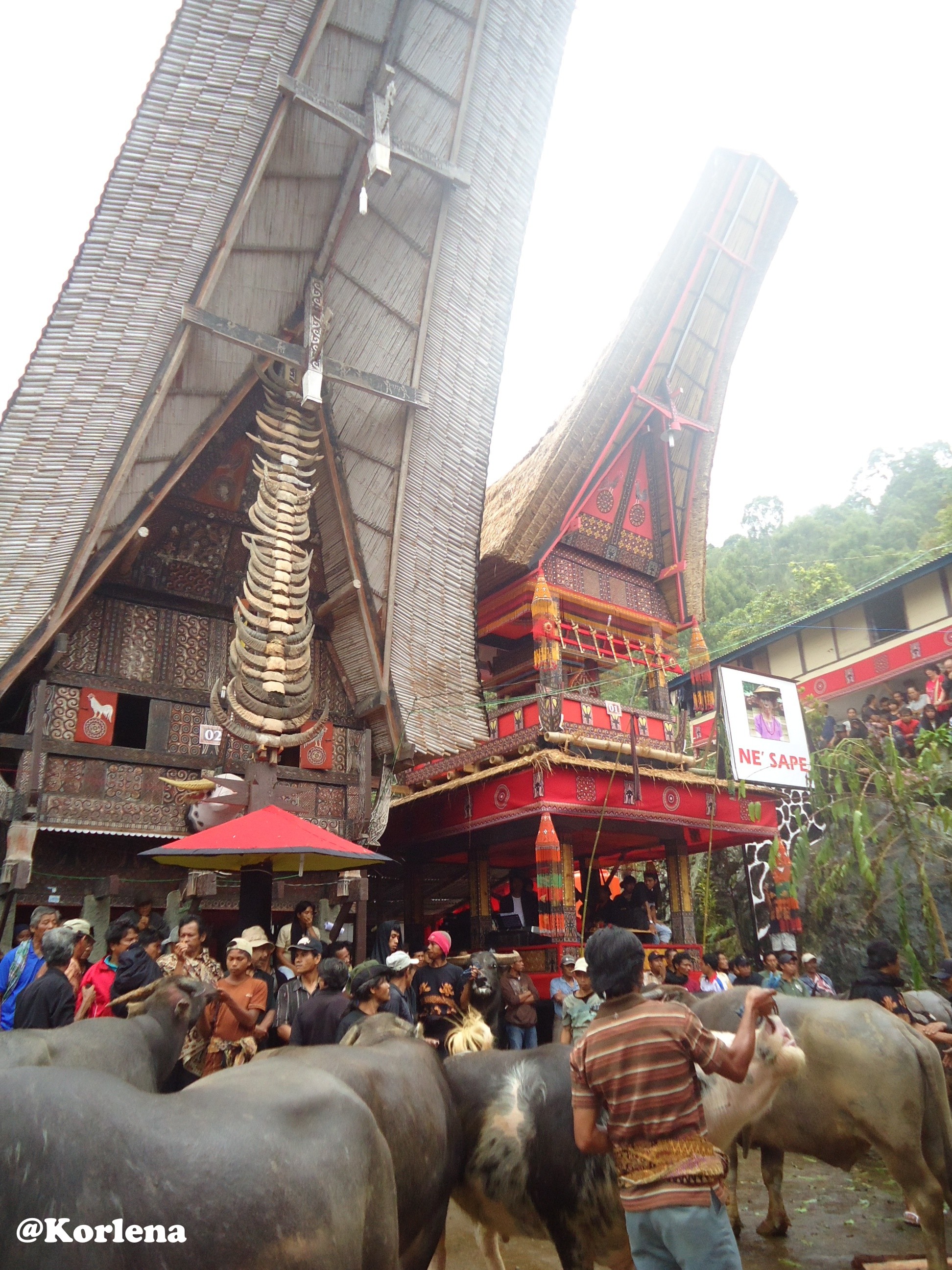 Download this Upacara Rambu Solo Tana Toraja picture