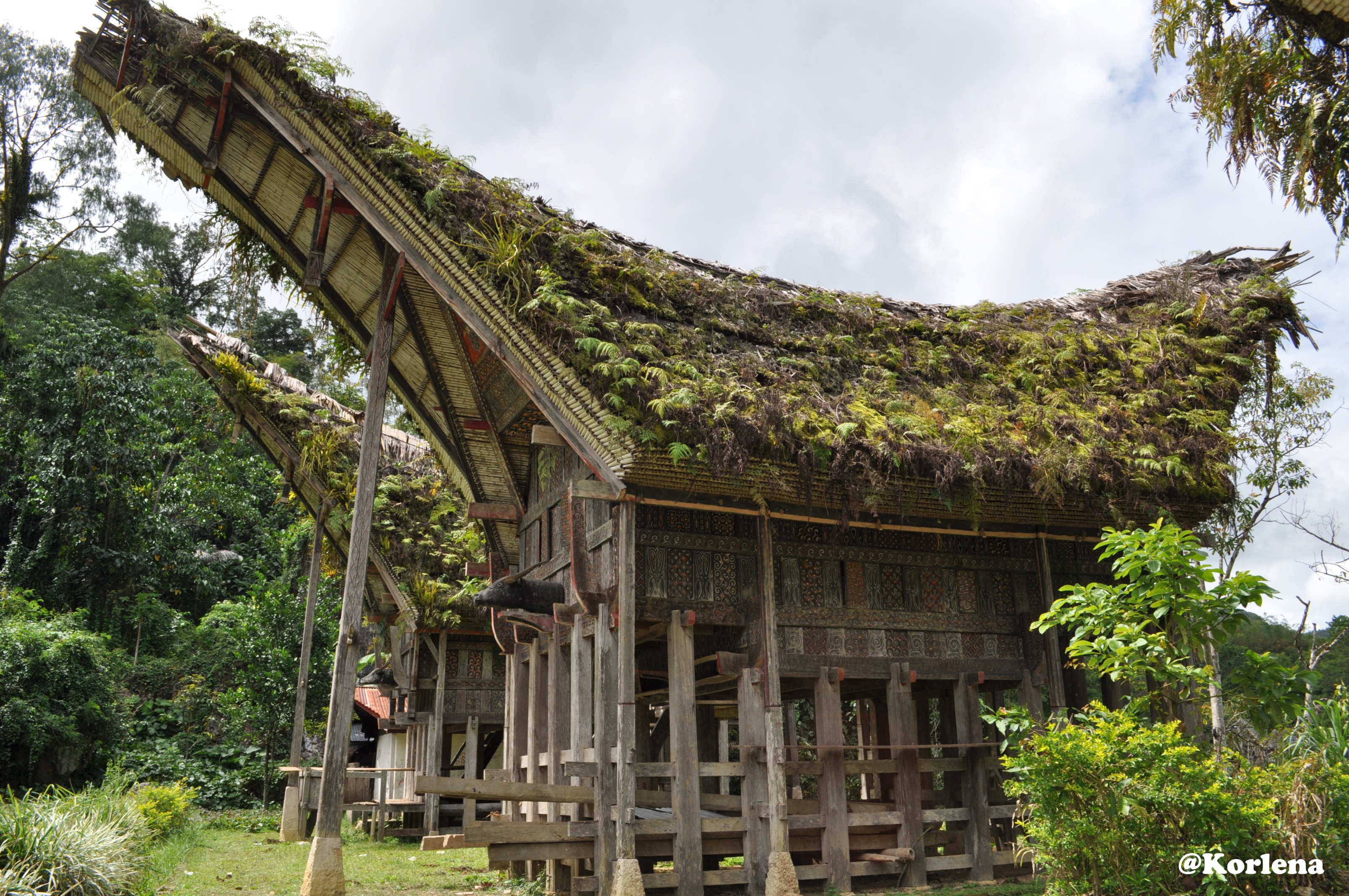 Blog' e Mbah Ragil: Lemo Tana Toraja